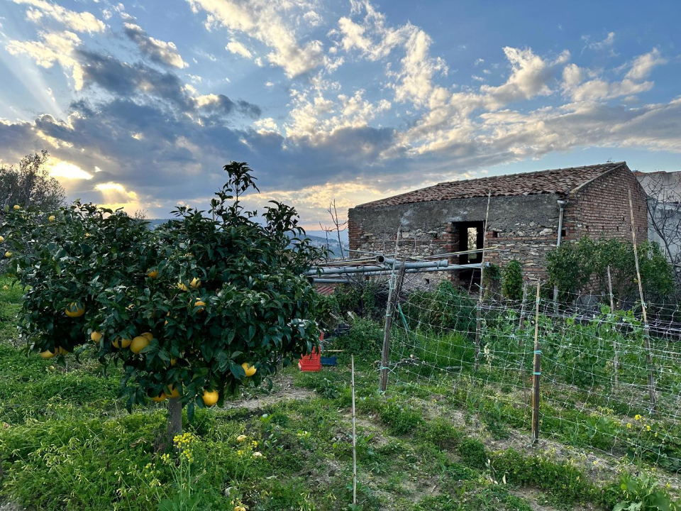 Casa Indipendente - Image 7