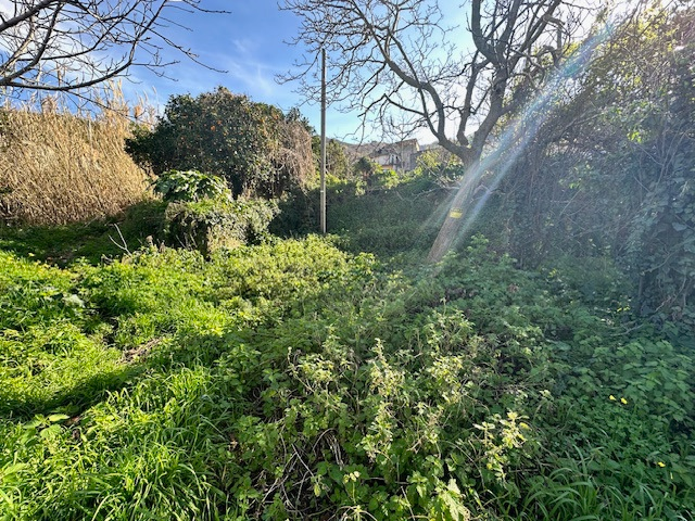 Casa Indipendente - Image 2