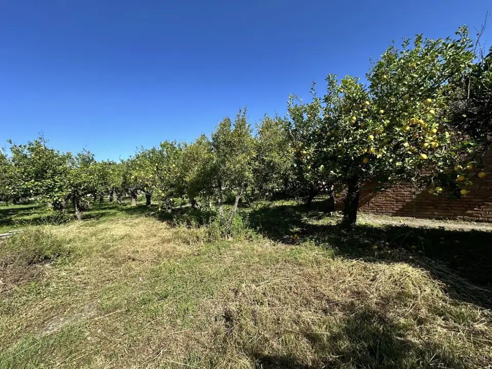 Casa Indipendente - Image 18