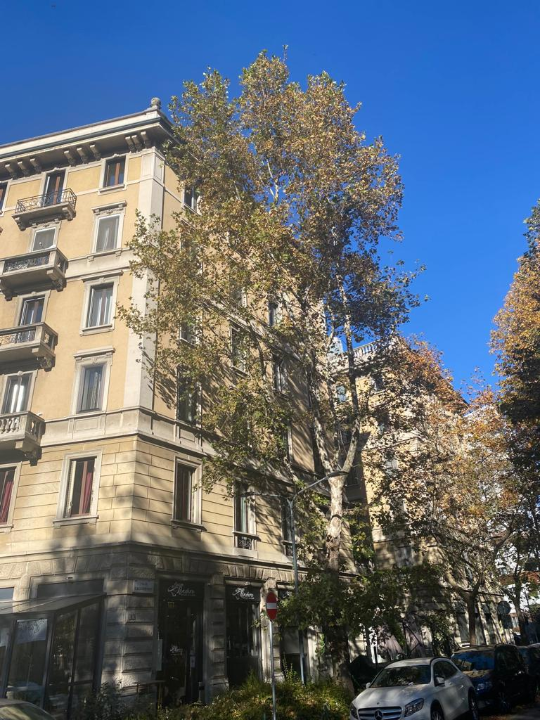 Appartamento - Image 5