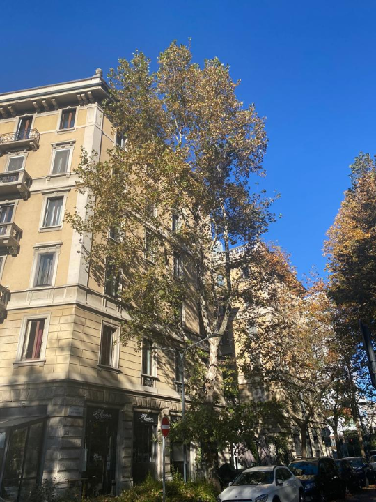 Appartamento - Image 3