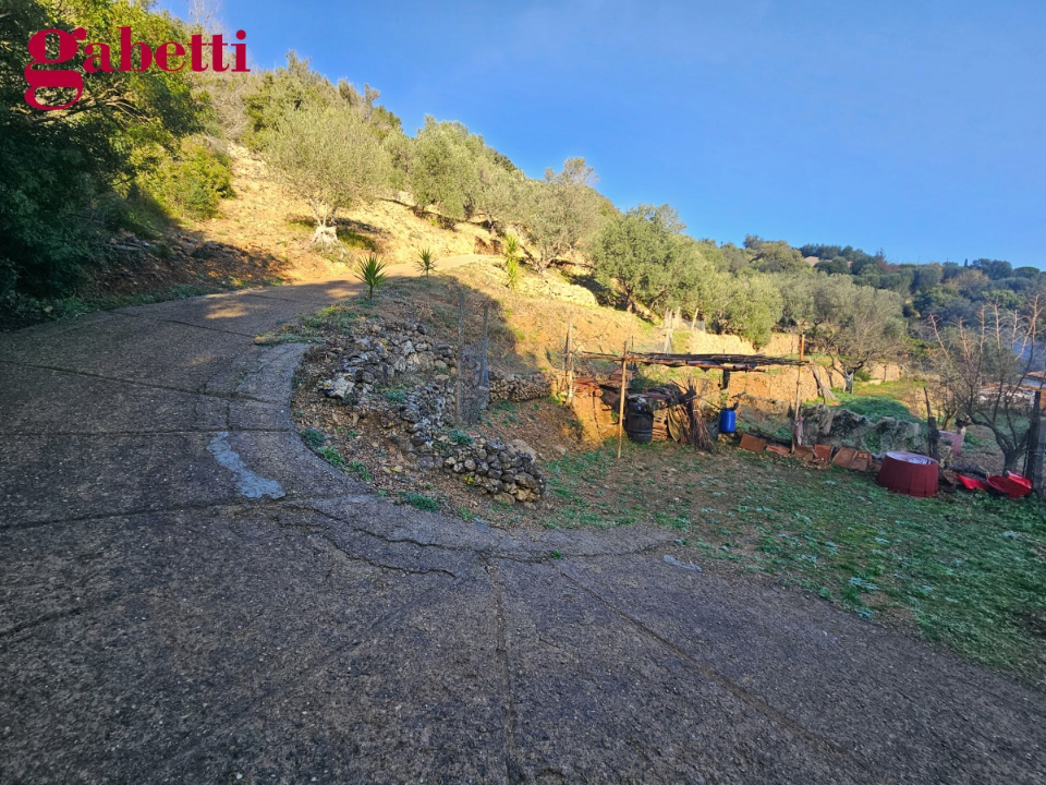 Magazzino - Image 16