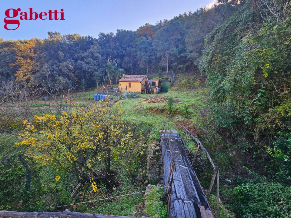 Magazzino - Image 21