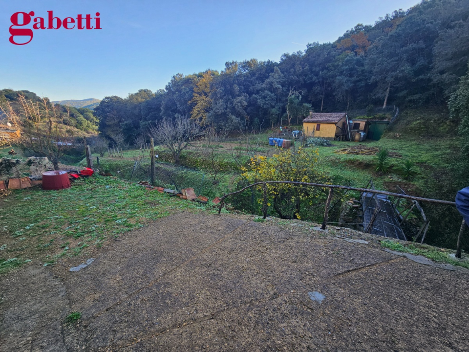 Magazzino - Image 17