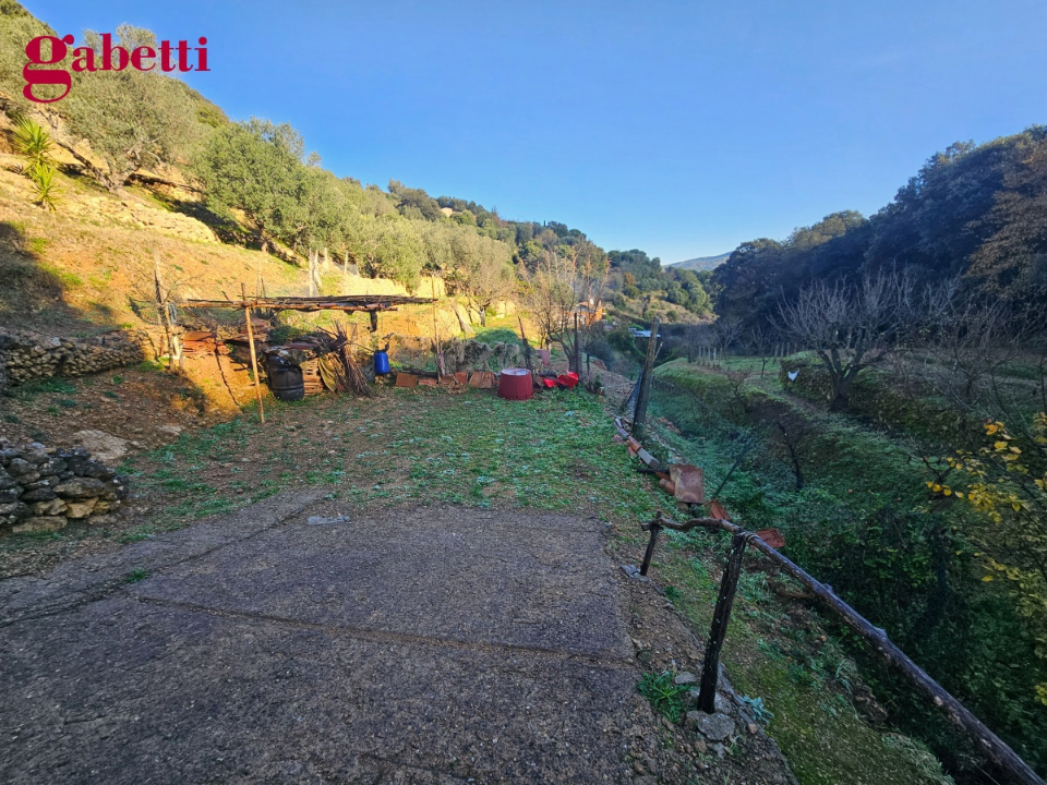 Magazzino - Image 18