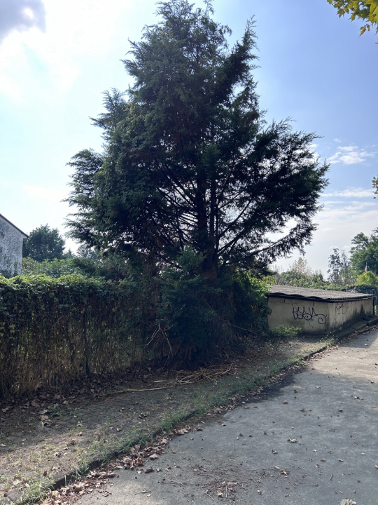 Posto Auto - Image 4