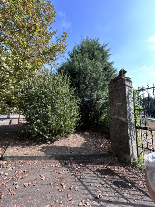 Posto Auto - Image 6