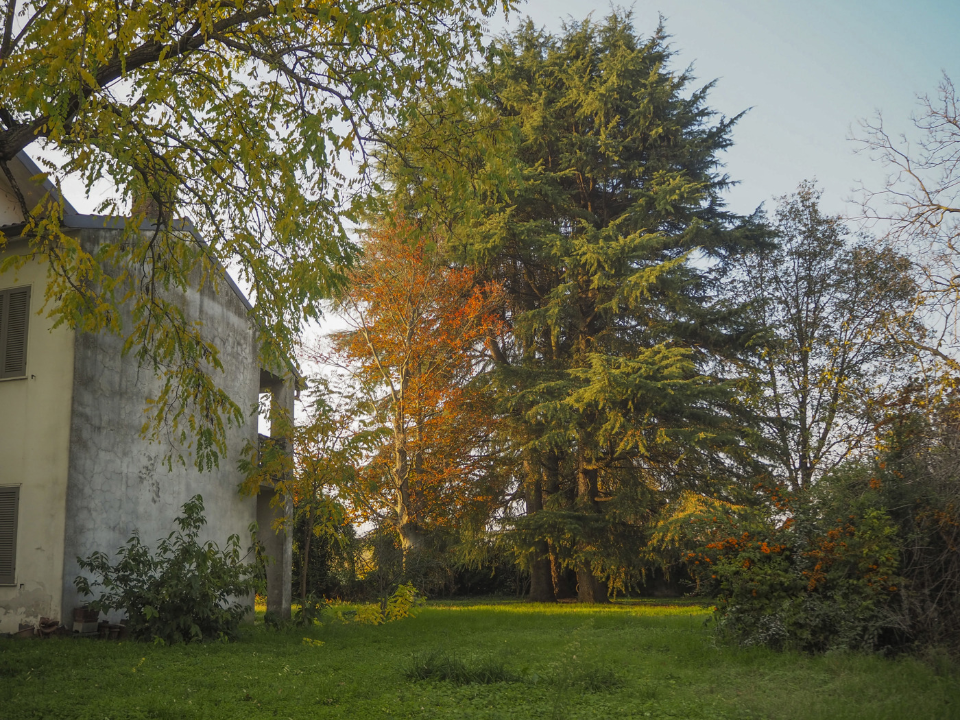 Villa - Image 30