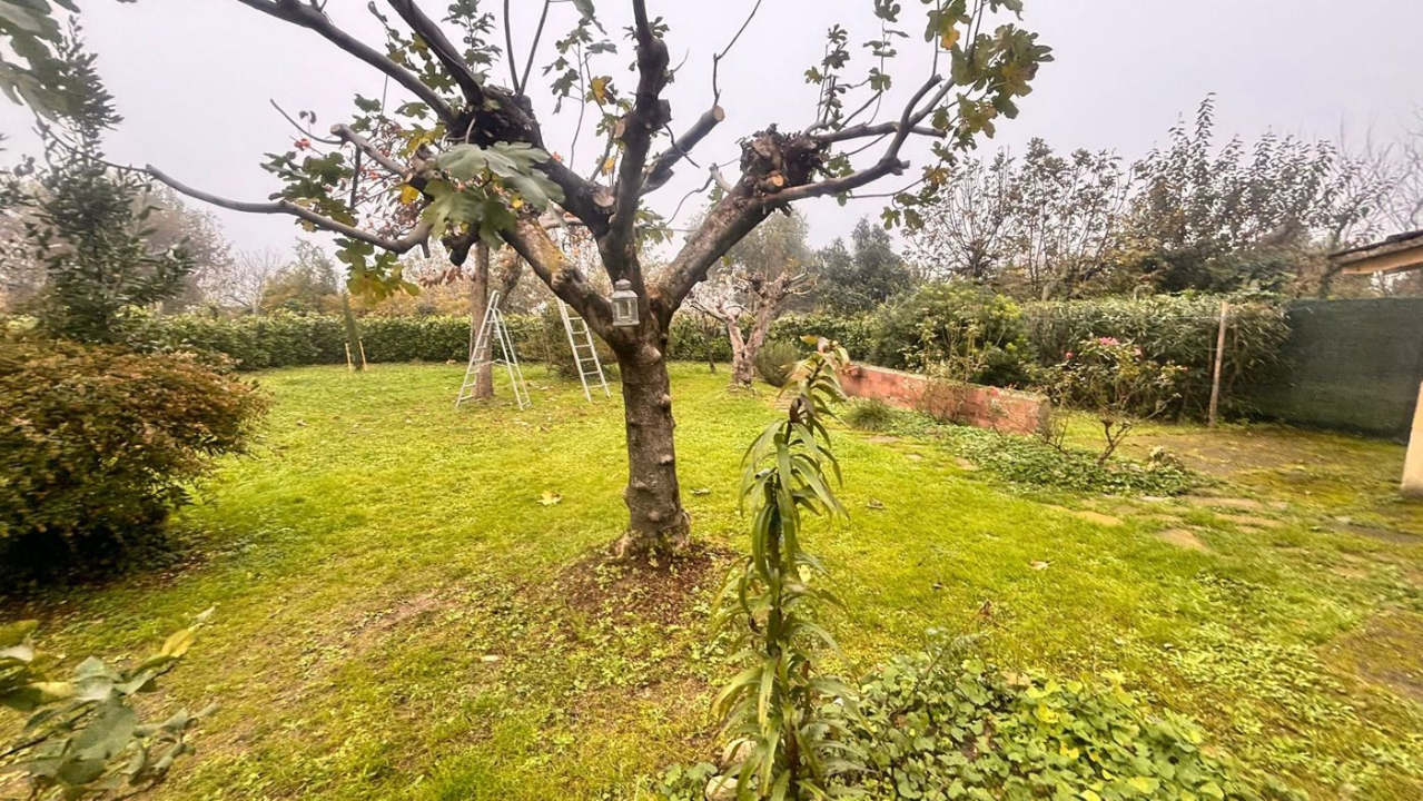 Casa Indipendente - Image 4