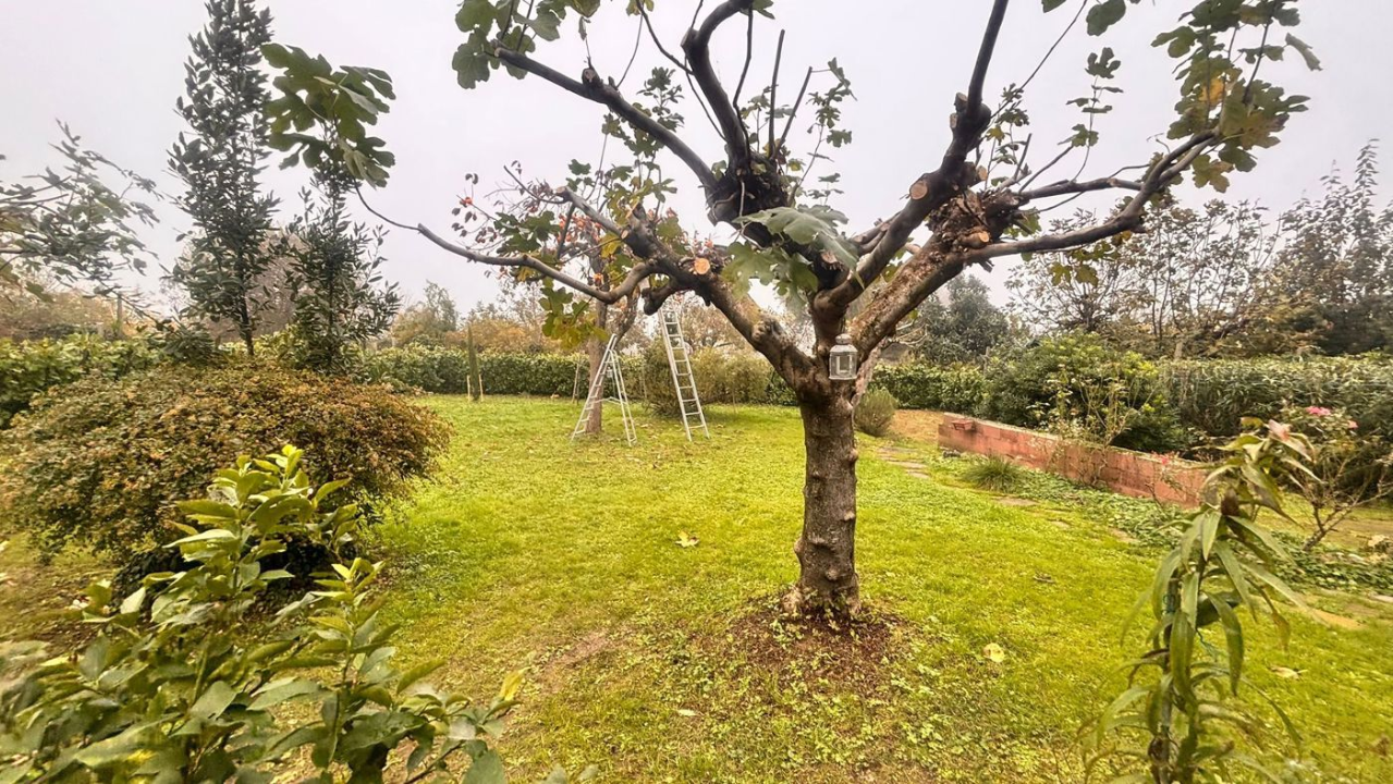 Casa Indipendente - Image 8