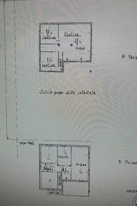 Casa Indipendente - Planimetry 1