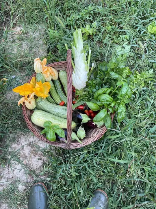 Casa Indipendente - Image 23