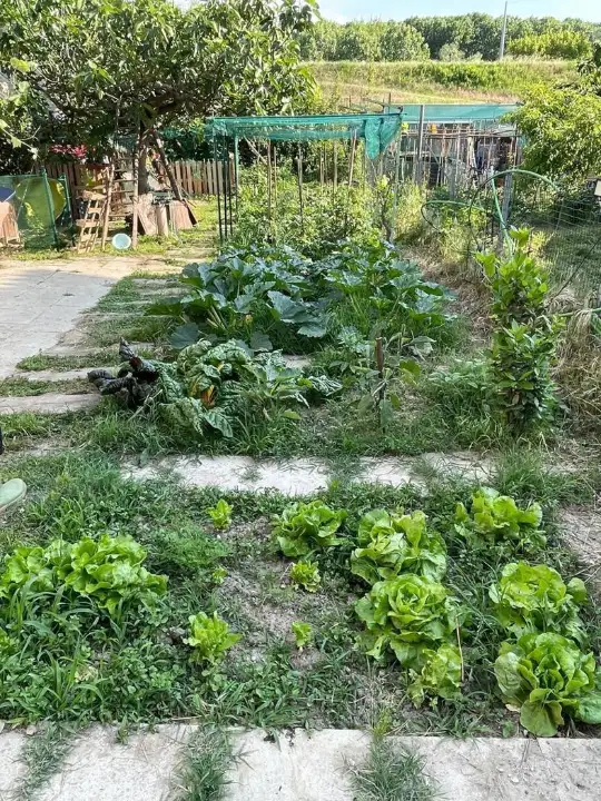 Casa Indipendente - Image 18