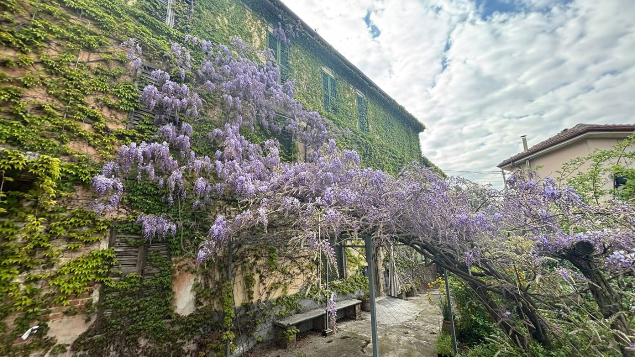 Casa Indipendente - Image 3