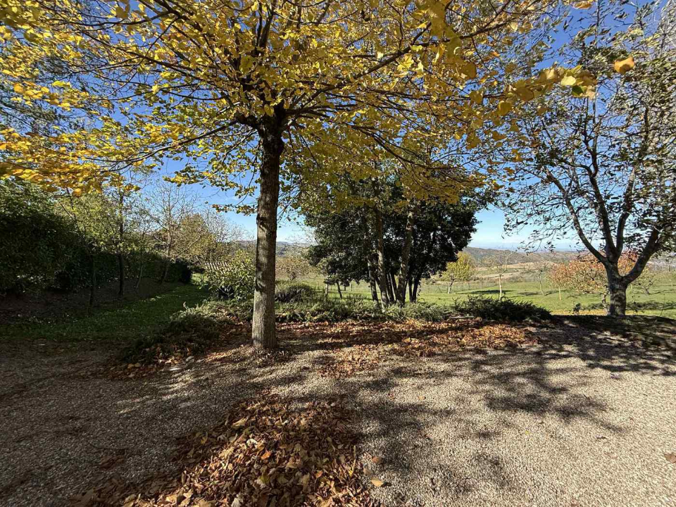 Casa Indipendente - Image 6