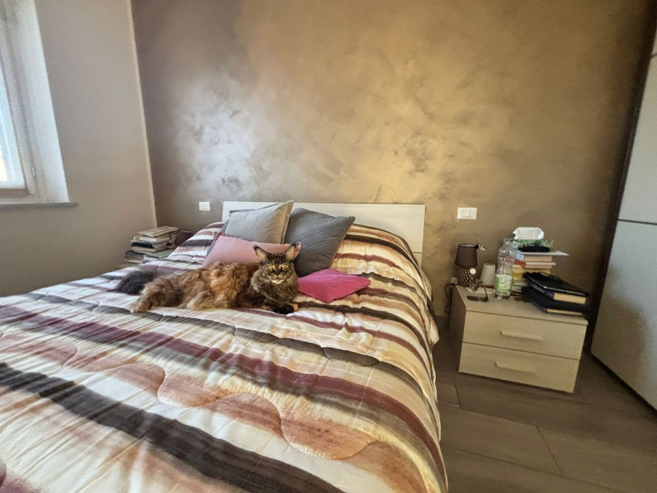 Appartamento - Image 8