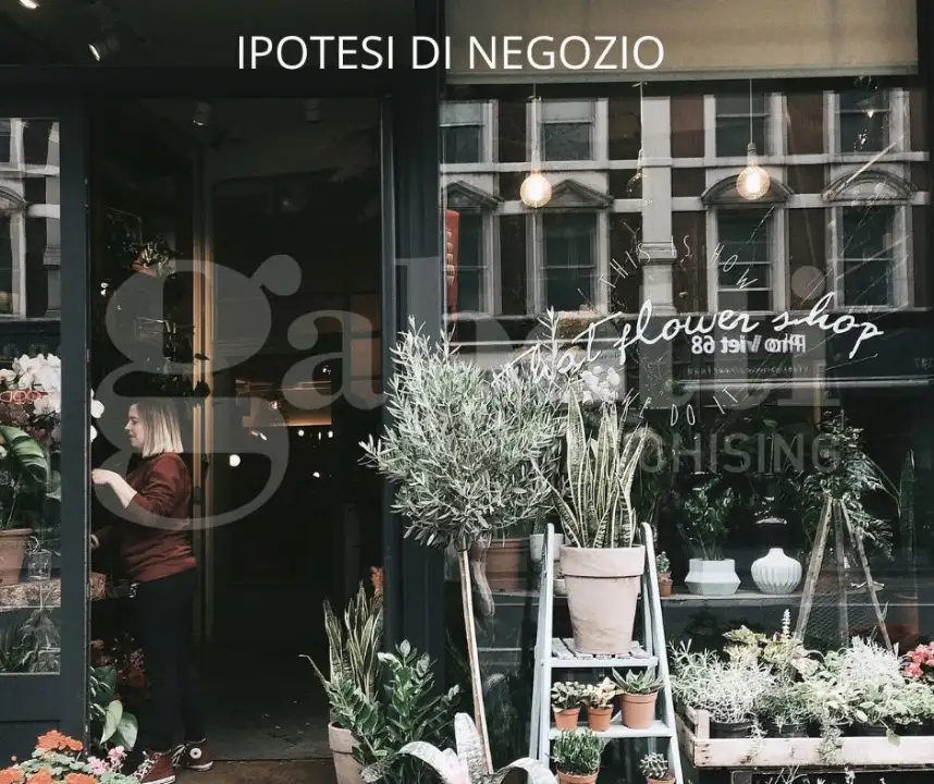 Negozio - Image 4