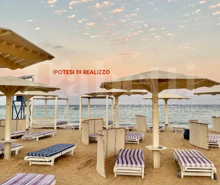 Attività - Image 12