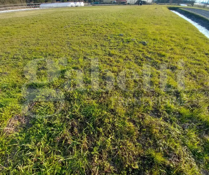 Casa Indipendente - Image 7