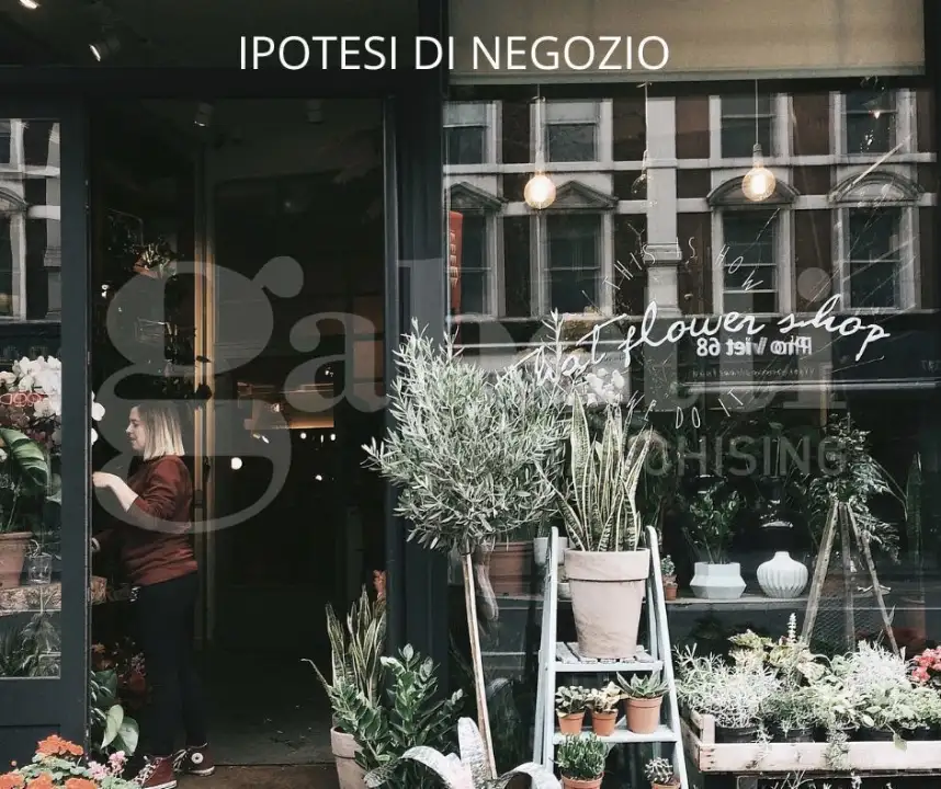 Negozio - Image 3