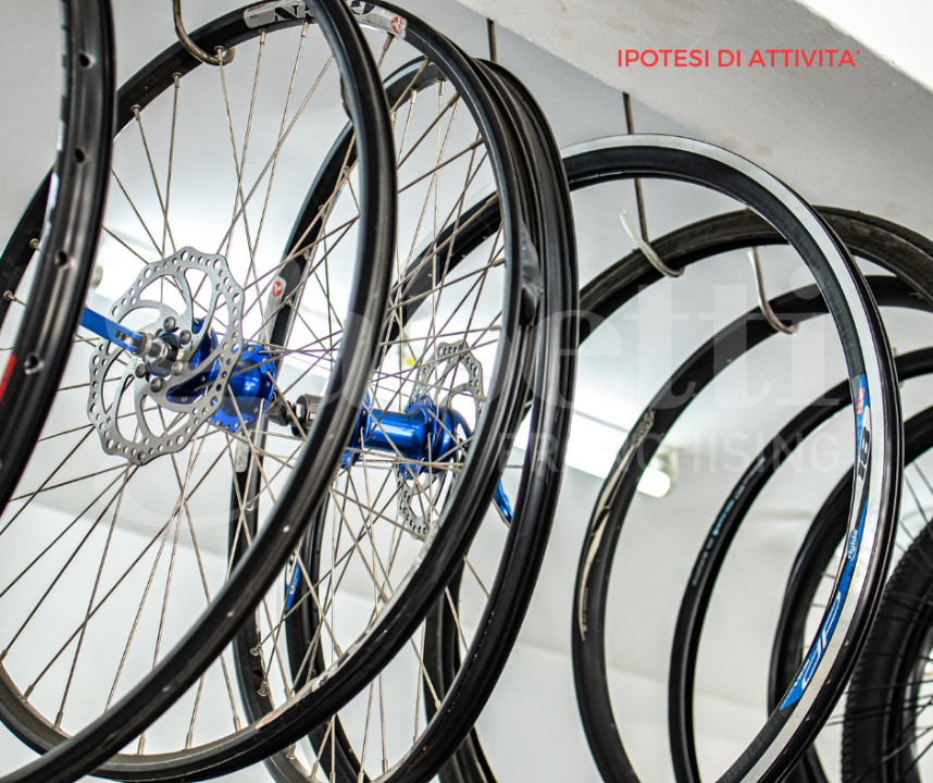 Laboratorio - Image 8