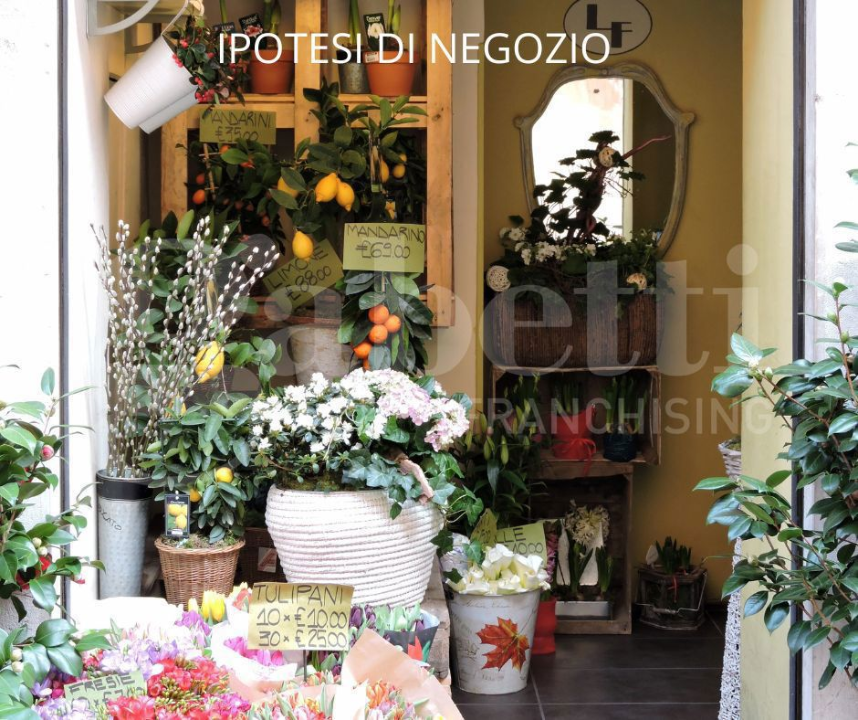 Negozio - Image 2