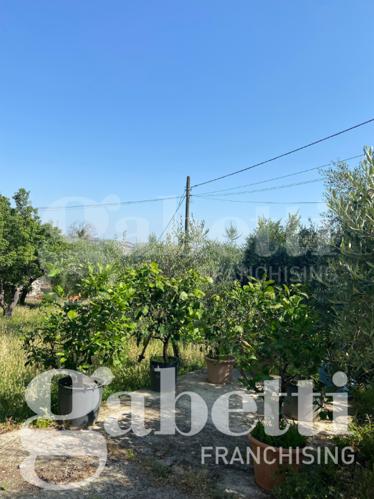 Casa Indipendente - Image 12