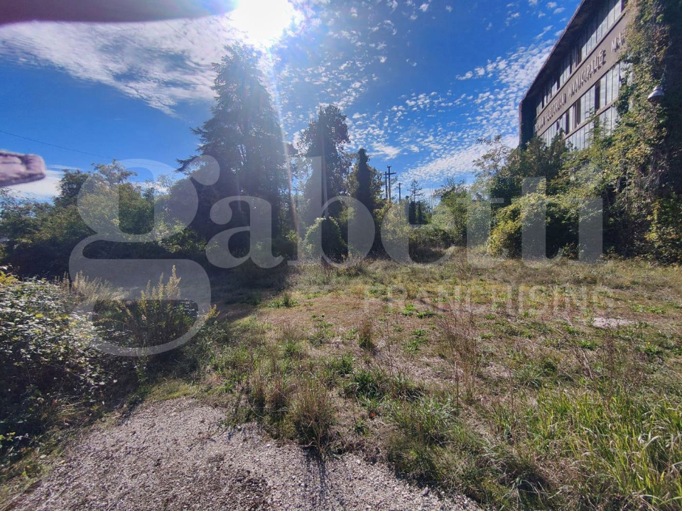 Complesso - Image 13