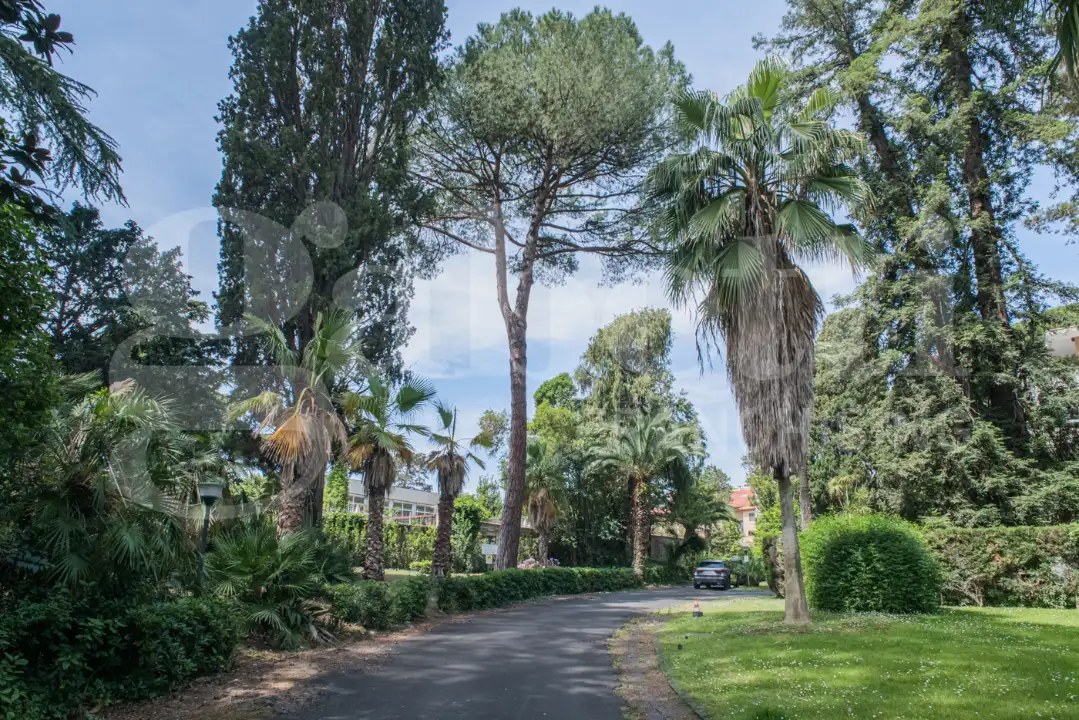 Appartamento - Image 4