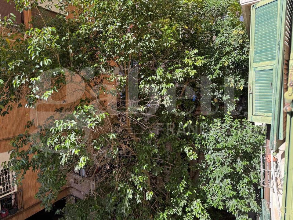 Appartamento - Image 15