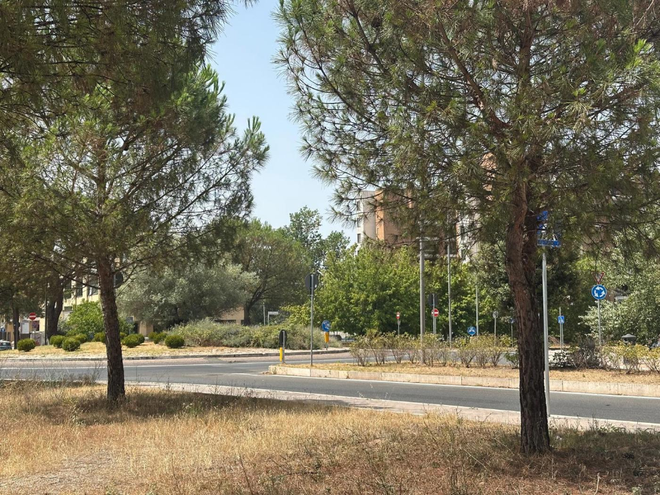 Appartamento - Image 7