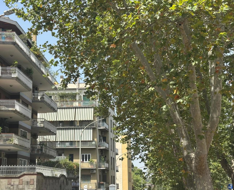 Appartamento - Image 9
