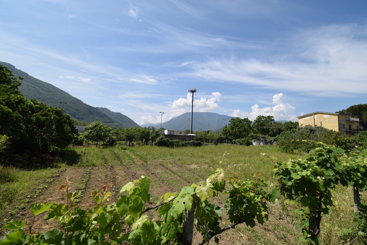 Terreno agricolo in vendita a Castel San Giorgio (SA)