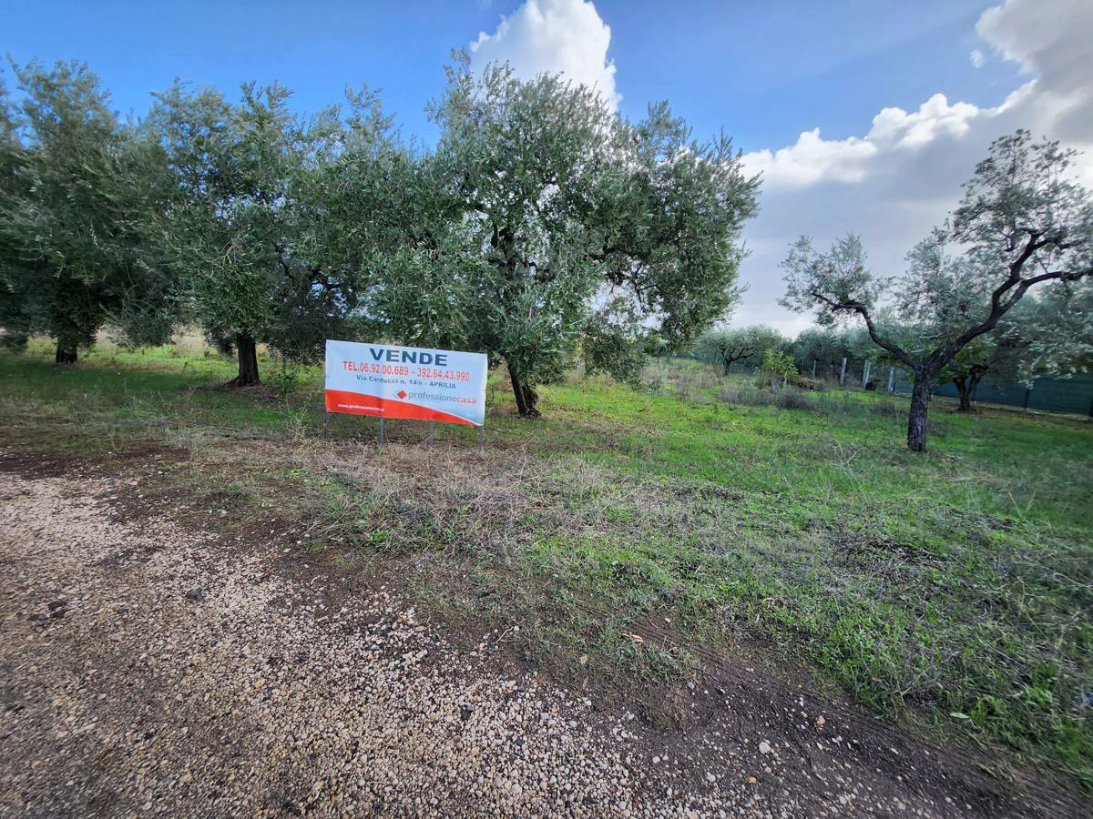 Terreno agricolo in vendita a Stragonello, Lanuvio (RM)
