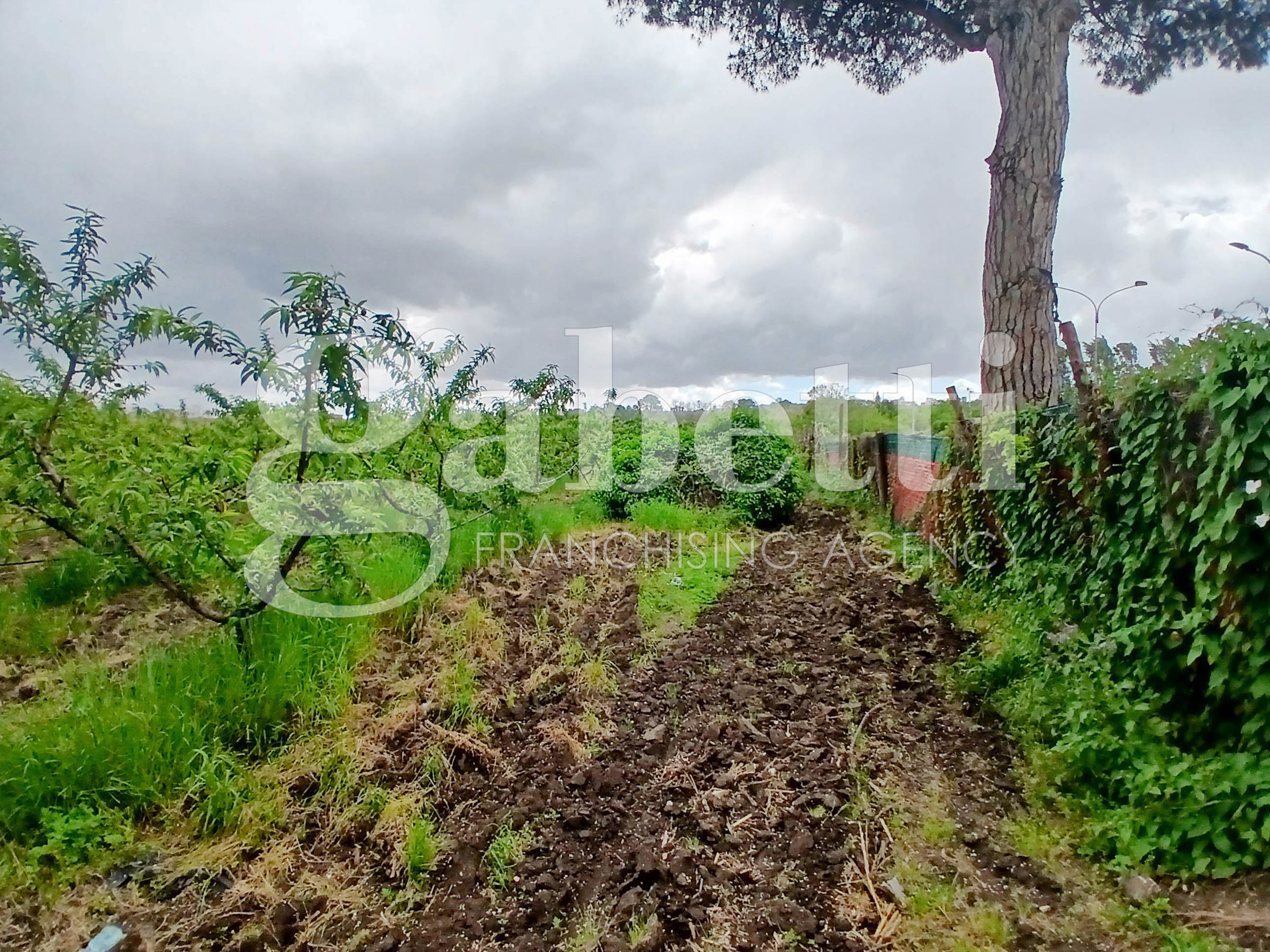 Terreno agricolo in vendita a Giugliano In Campania (NA)