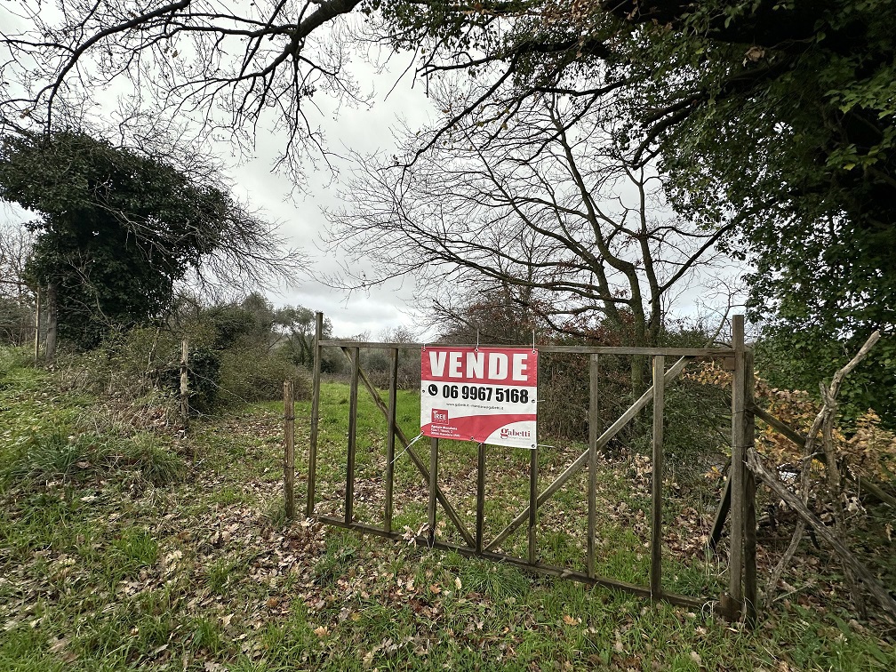 Terreno edificabile in vendita a Manziana (RM)