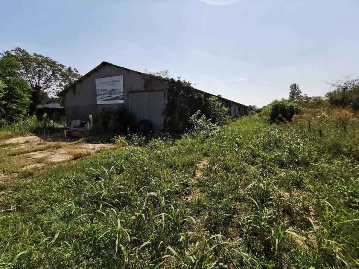 Terreno edificabile in vendita a Nogara (VR)