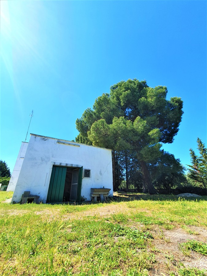 Villa in vendita a Andria (BT)