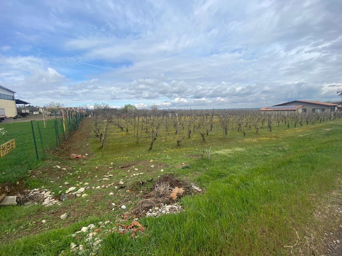 Terreno agricolo in vendita a Ziano Piacentino (PC)