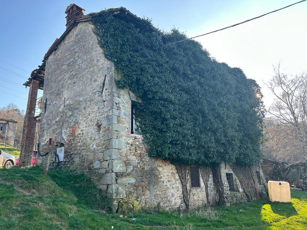 Palazzo in vendita a Castelnuovo Di Garfagnana (LU)