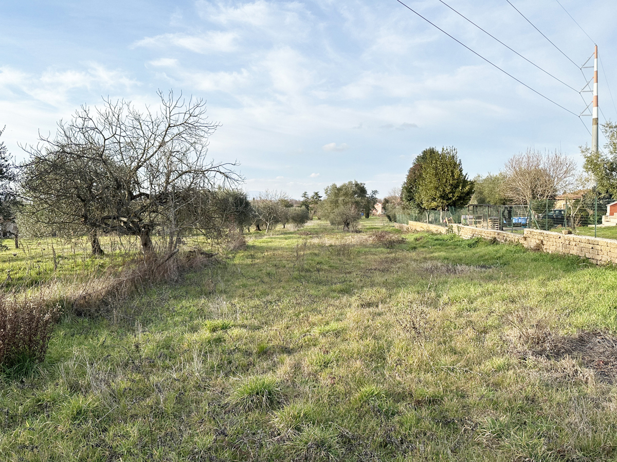 Terreno agricolo in vendita a Castel Sant'elia (VT)
