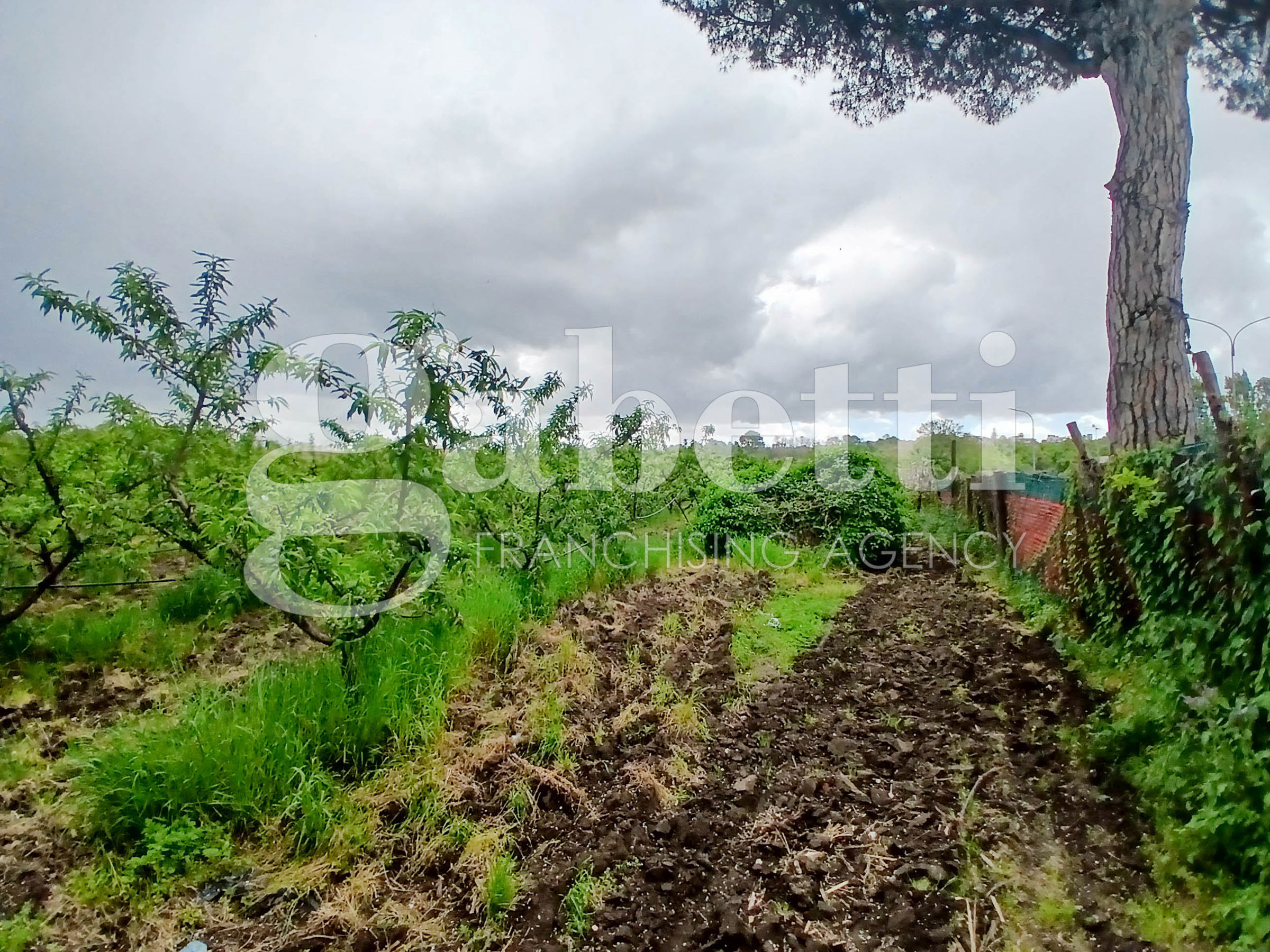Terreno agricolo in vendita a Giugliano In Campania (NA)