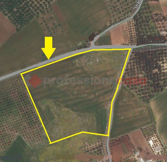 Terreno agricolo in vendita a Poggiardo (LE)