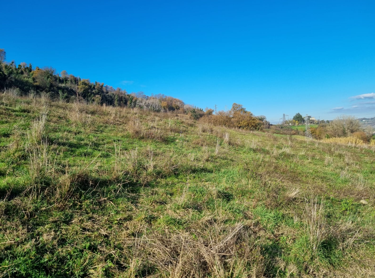 Terreno agricolo in vendita a Ponzano Romano (RM)