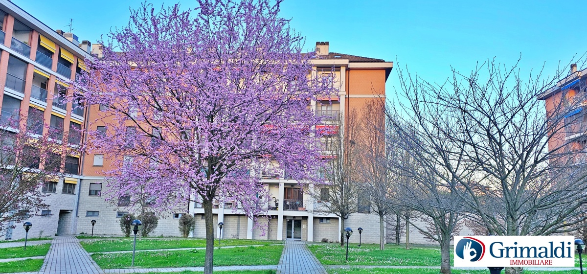 Duplex in vendita a Rozzano (MI)