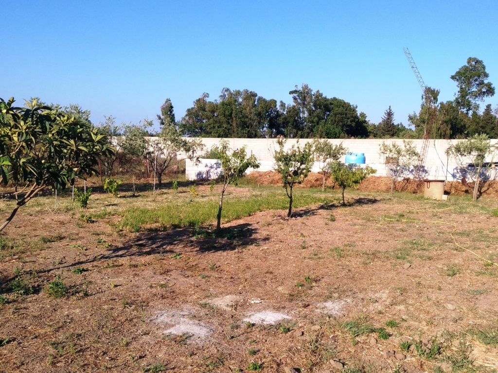 Foto 6 di 6 - Terreno in vendita a Oristano