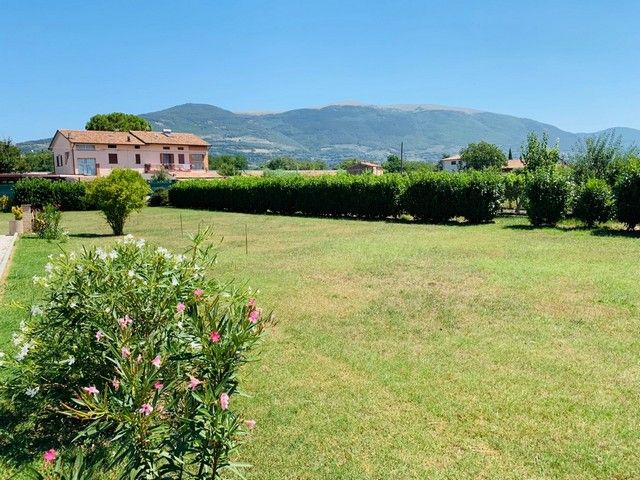 Foto 4 di 9 - Villa in vendita a Assisi