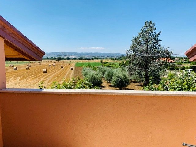 Foto 9 di 9 - Villa in vendita a Assisi