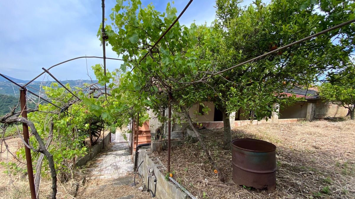 Foto 3 di 13 - Casa indipendente in vendita a Gioiosa Marea