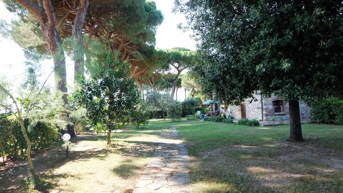 Foto 49 di 138 - Villa in vendita a Castiglione del Lago
